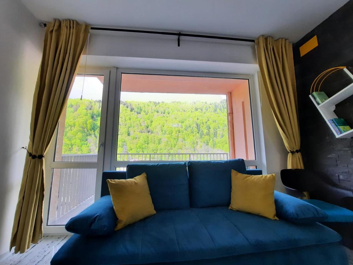Apartament Erika Sinaia Ngoại thất bức ảnh