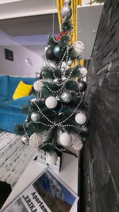 Apartament Erika Sinaia Ngoại thất bức ảnh