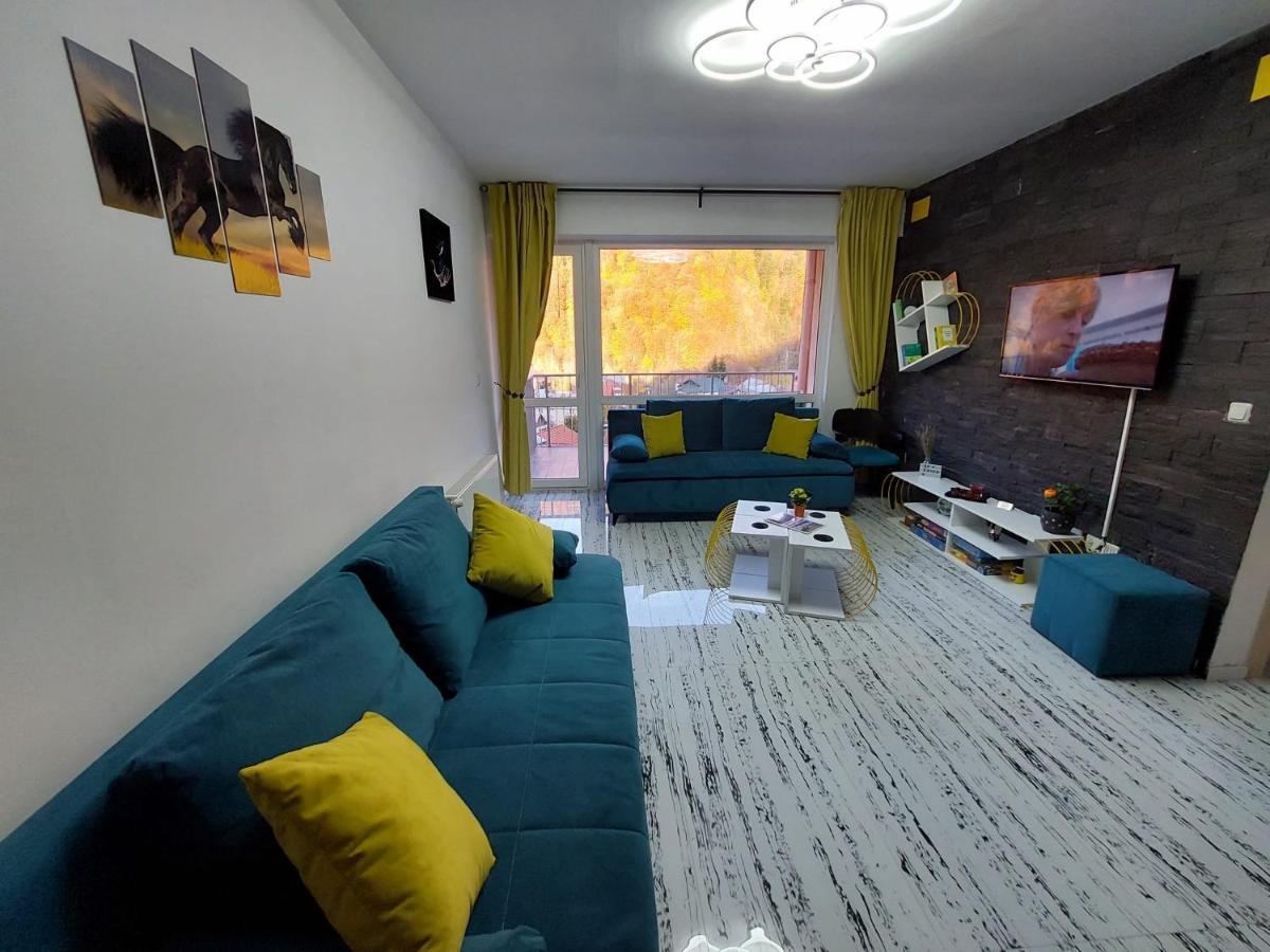 Apartament Erika Sinaia Ngoại thất bức ảnh